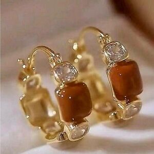 Elegant Gold and Brown Hoop Earrings